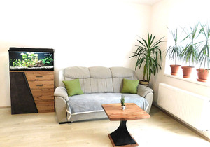 Pronajmu novostavbu 2+kk Slavkov u Brna, Zelnice